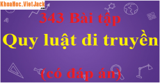 Ý nghĩa của sự trao đổi chéo nhiễm sắc thể trong giảm phân về mặt di (Miễn phí)