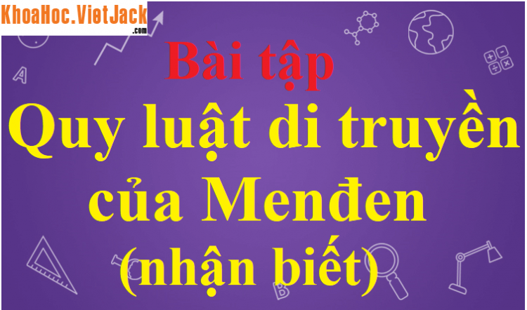 Quy luật phân li độc lập thực chất nói về sự phân li kiểu hình (Miễn phí)