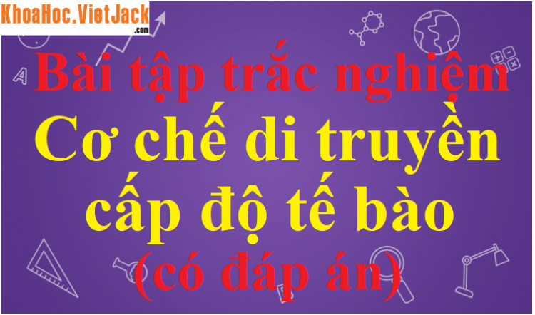 Phép lai AAaa × AAaa tạo kiểu gen AAaa ở thế hệ sau với tỉ lệ