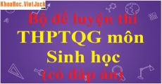 Quan hệ giữa nấm và vi khuẩn lam trong địa y là gì? Họ có tương tác như thế nào?
