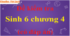 Thân non của cây có màu xanh lục có quang hợp được không (Miễn phí)