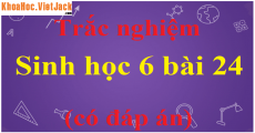 Khi đưa cây đi trồng nơi khác, để tránh cho cây không bị mất nước (Miễn phí)