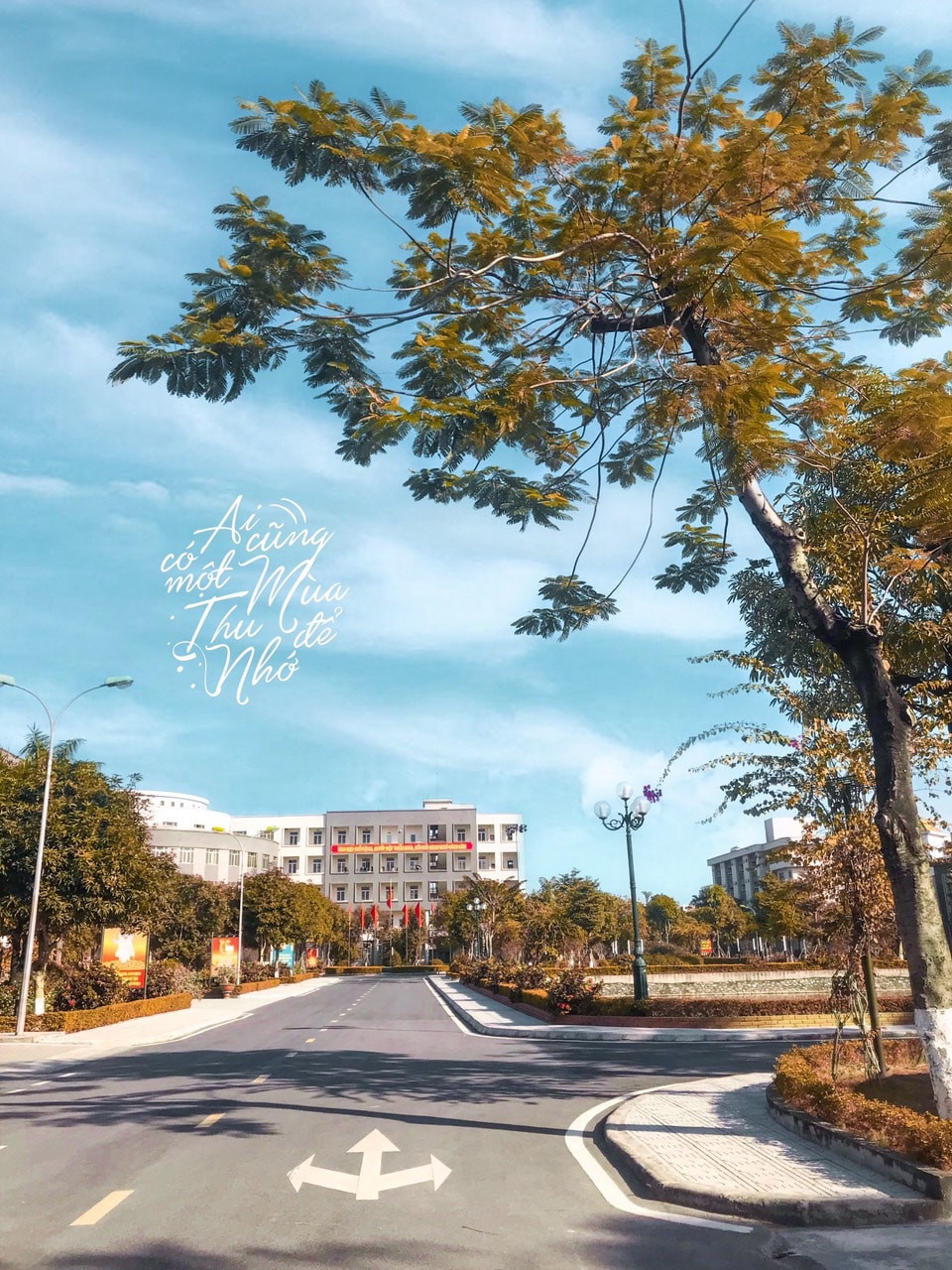 Ảnh đính kèm
