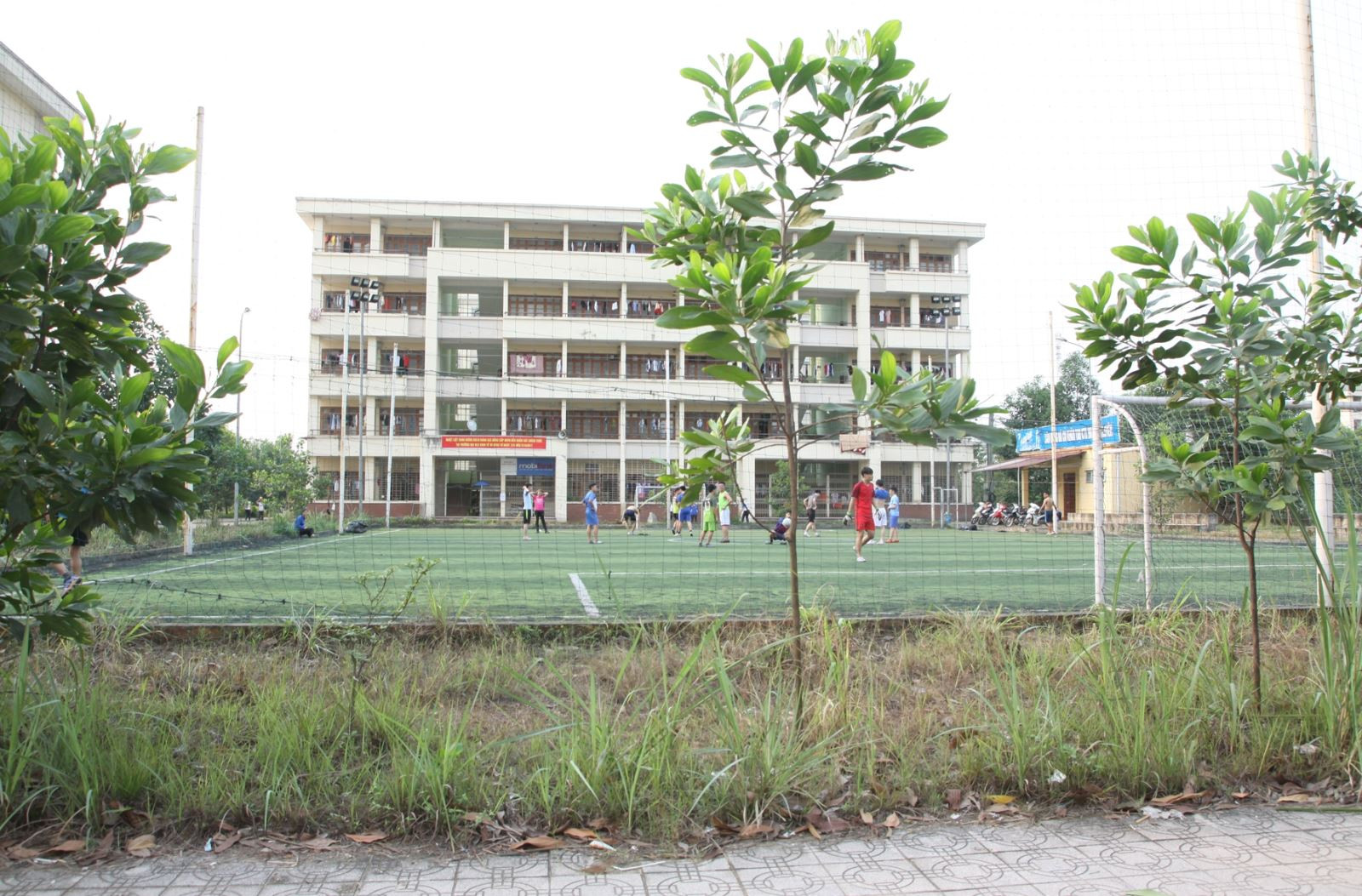 Ảnh đính kèm