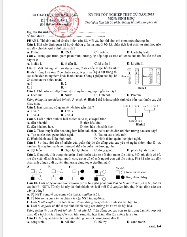 Đề tham khảo thi tốt nghiệp THPT môn Sinh năm 2025