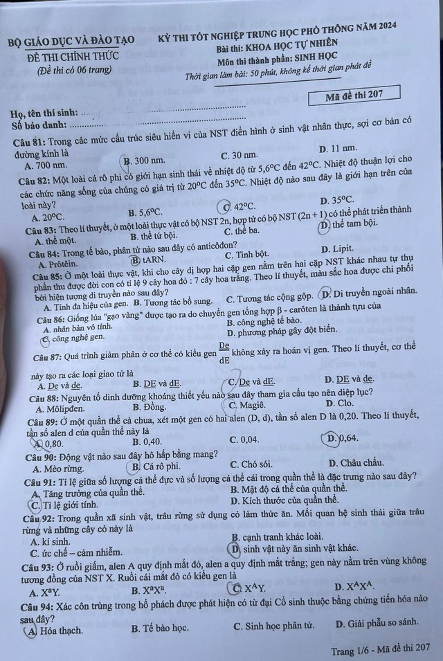 (Chính thức) Đáp án đề thi tốt nghiệp THPT môn Sinh học năm 2024 full 24 mã đề