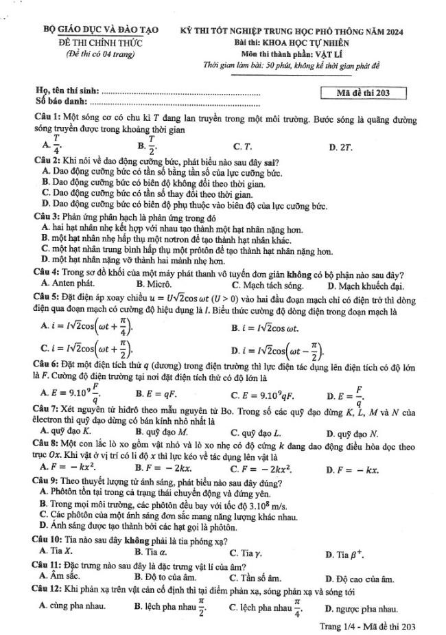 Đáp án đề thi môn Lý  mã đề 203 - Tốt nghiệp THPT 2024