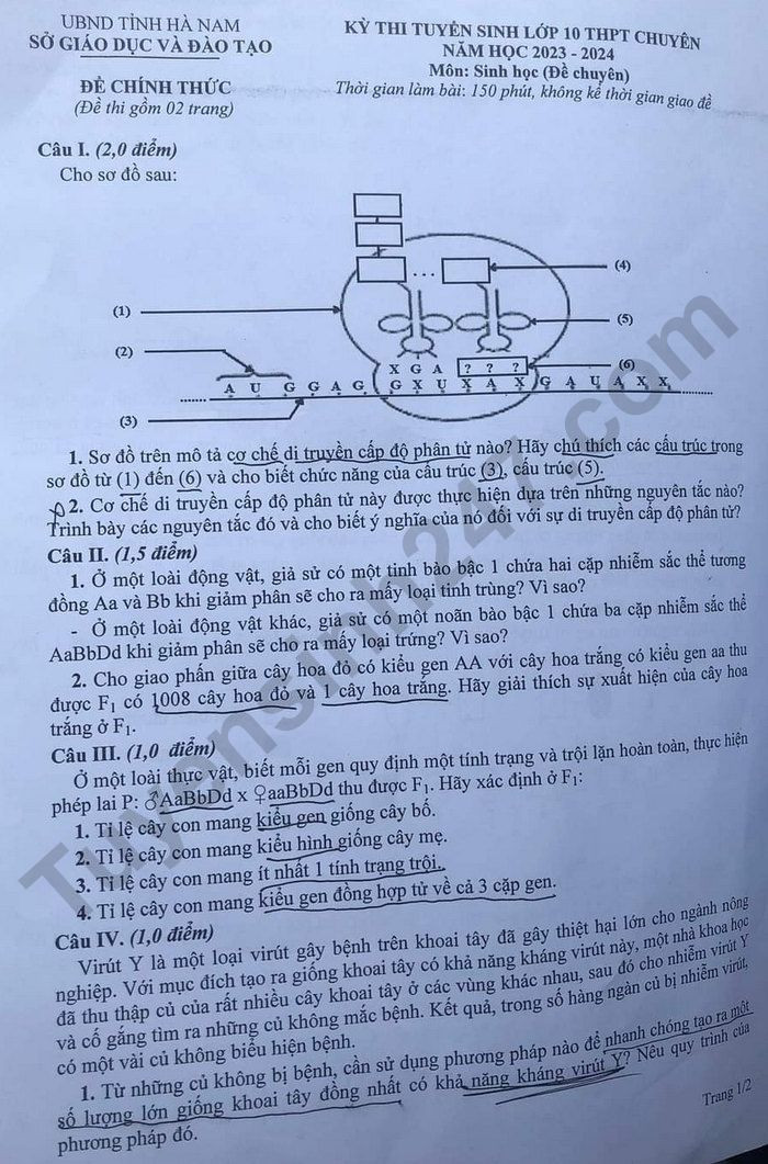 Đề thi vào 10 chuyên sinh Sở GD ĐT Hà Nam năm 2023 có đáp án