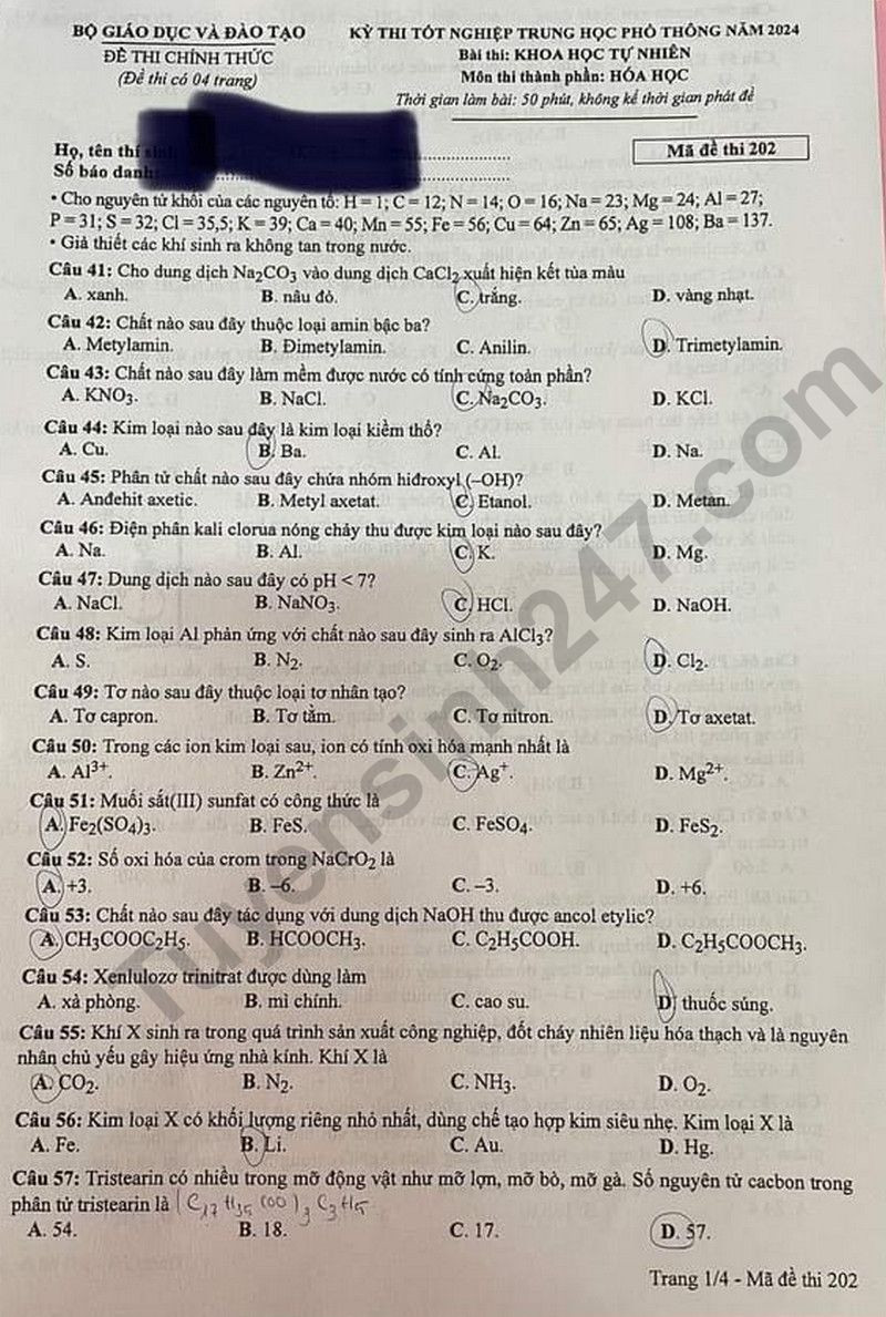 Đáp án đề thi môn Hóa mã đề 202 - Tốt nghiệp THPT 2024