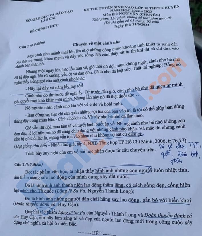 Đề thi vào 10 chuyên văn Sở GD ĐT Lào Cai năm 2022 có đáp án