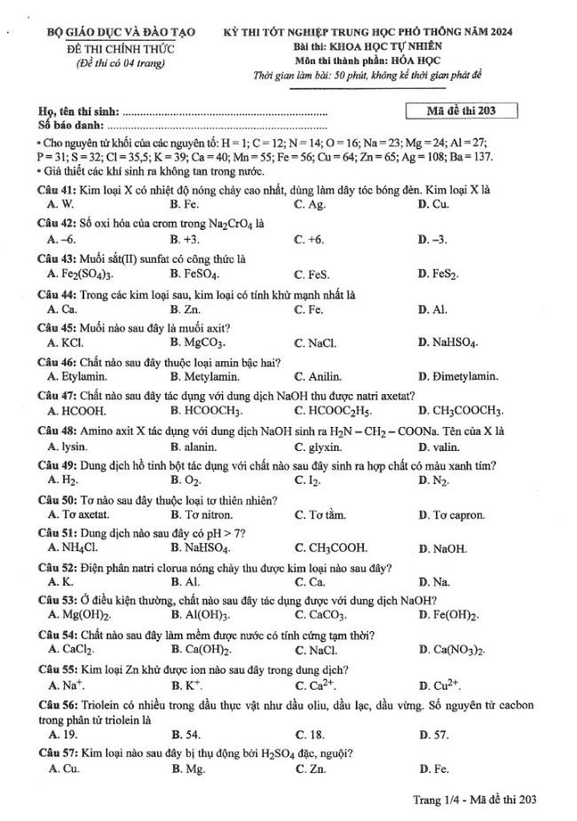 Đáp án đề thi môn Hóa mã đề 203 - Tốt nghiệp THPT 2024