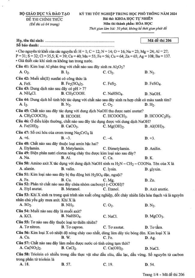 Đáp án đề thi môn Hóa mã đề 206 - Tốt nghiệp THPT 2024