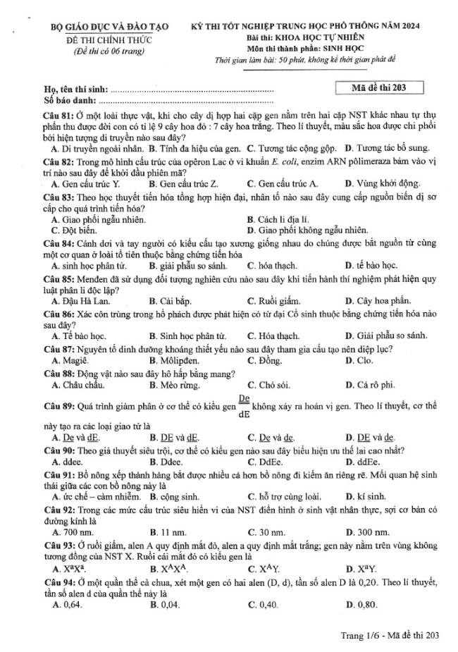 Đáp án đề thi môn Sinh Học mã đề 203 - Tốt nghiệp THPT 2024
