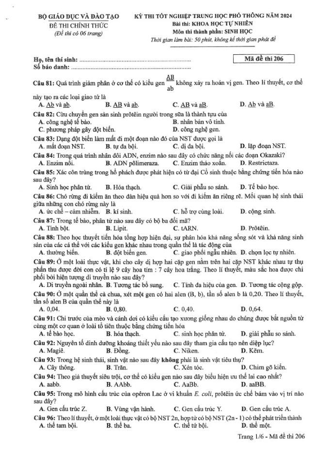 Đáp án đề thi môn Sinh Học mã đề 206 - Tốt nghiệp THPT 2024
