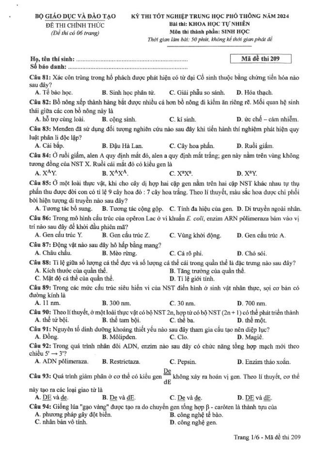 Đáp án đề thi môn Sinh Học mã đề 209 - Tốt nghiệp THPT 2024