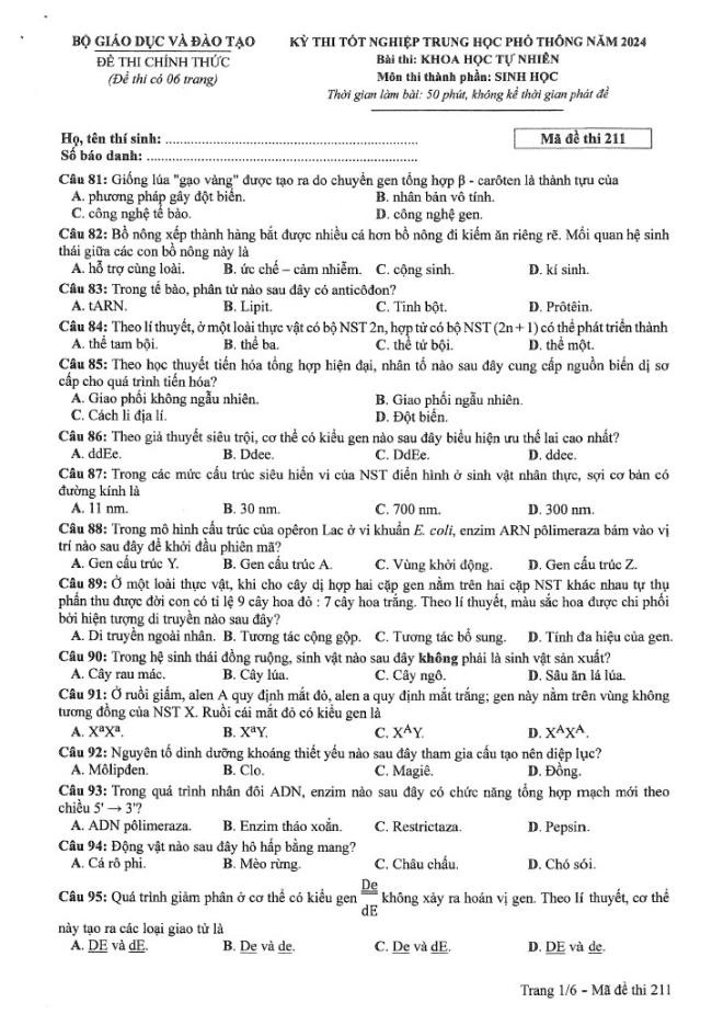 Đáp án đề thi môn Sinh Học mã đề 211 - Tốt nghiệp THPT 2024