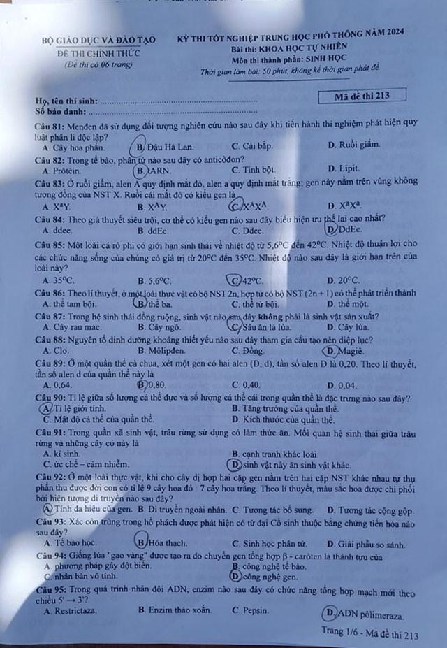 Đáp án đề thi môn Sinh Học mã đề 213 - Tốt nghiệp THPT 2024