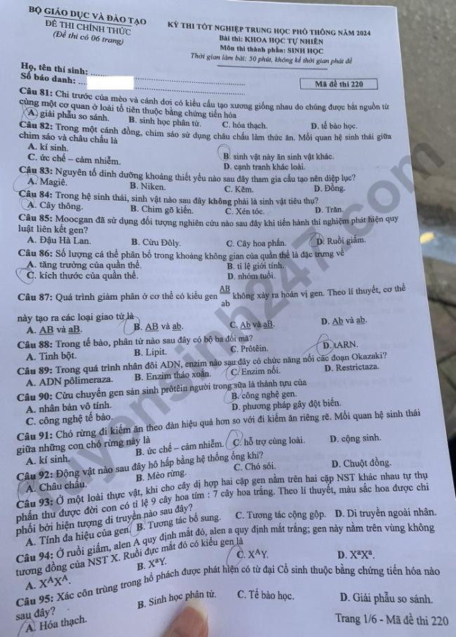 Đáp án đề thi môn Sinh Học mã đề 220 - Tốt nghiệp THPT 2024