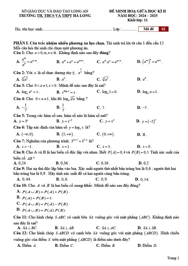Đề thi Giữa kì 2 Toán 11 trường THPT Hà Long (Long An) năm 2024–2025