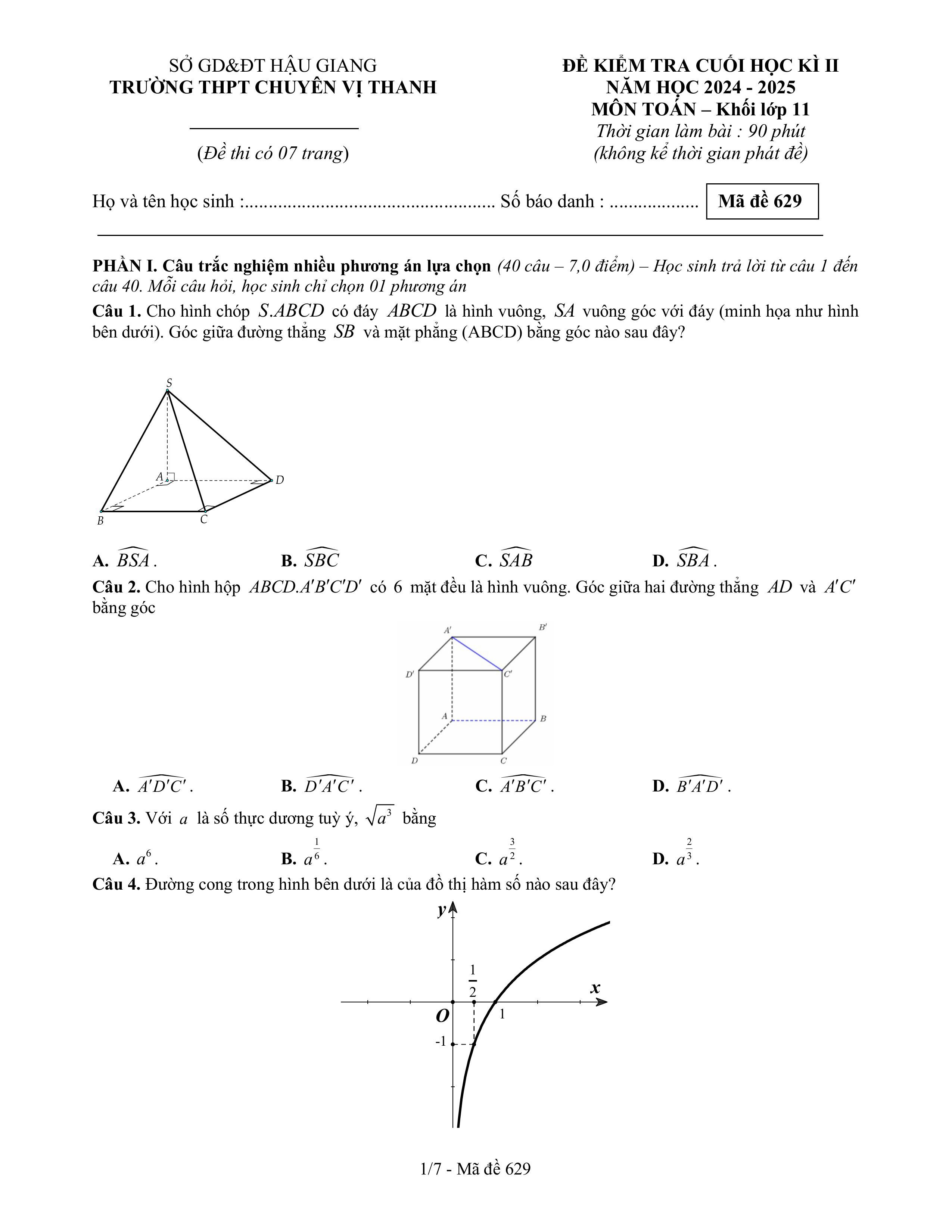 Đề thi Học kì 2 Toán 11 trường THPT chuyên Vị Thanh (Hậu Giang) năm 2024–2025