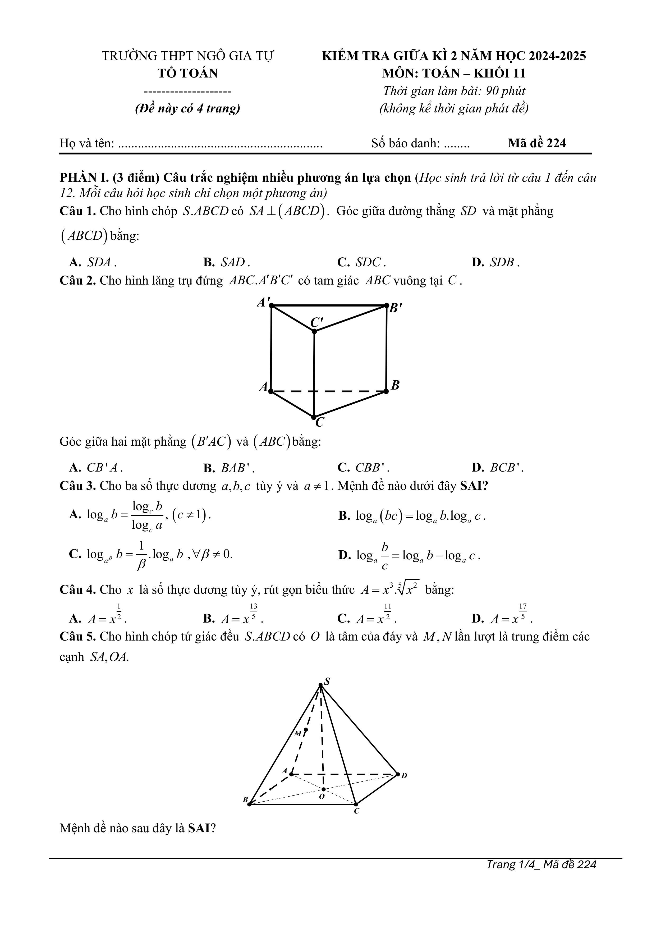 Đề thi Giữa kì 2 Toán 11 trường THPT Ngô Gia Tự (Phú Yên) năm 2024–2025