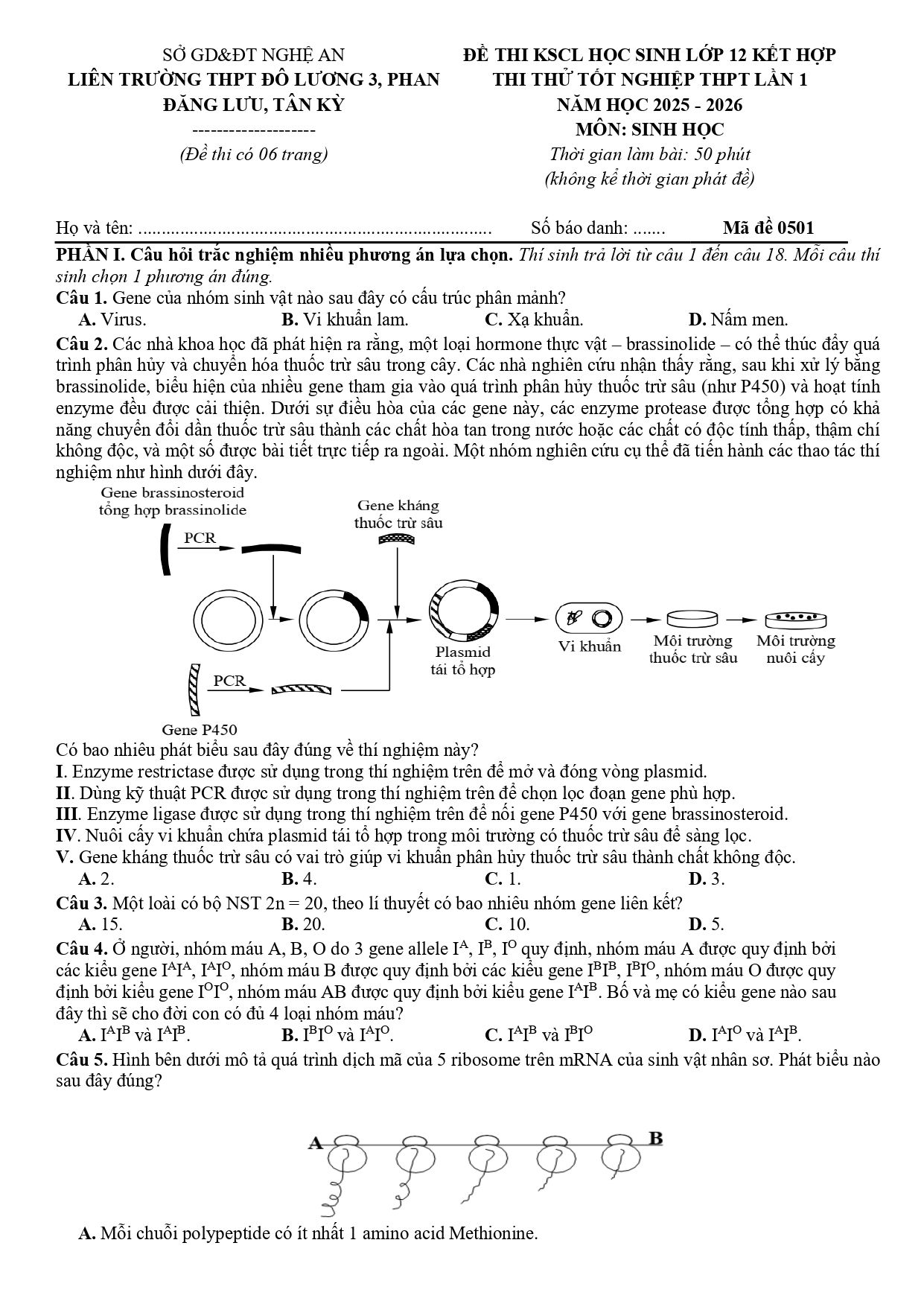 Đề thi thử Tốt nghiệp THPT Sinh học 2025 - 2026 Liên trường THPT Đô Lương 3, Phan Đăng Lưu, Tân Kỳ (Nghệ An)