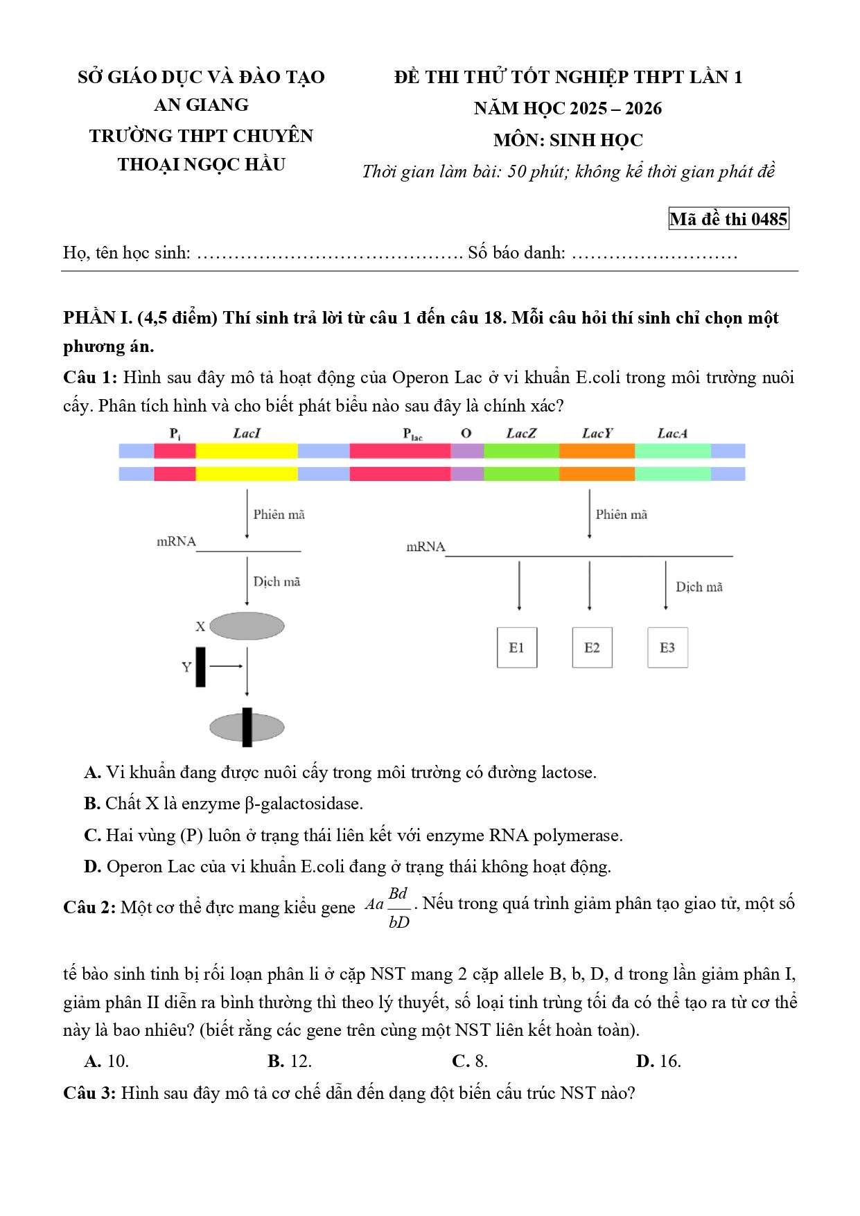 Đề thi thử Tốt nghiệp THPT Sinh học 2025 - 2026 trường THPT chuyên Thoại Ngọc Hầu (An Giang)