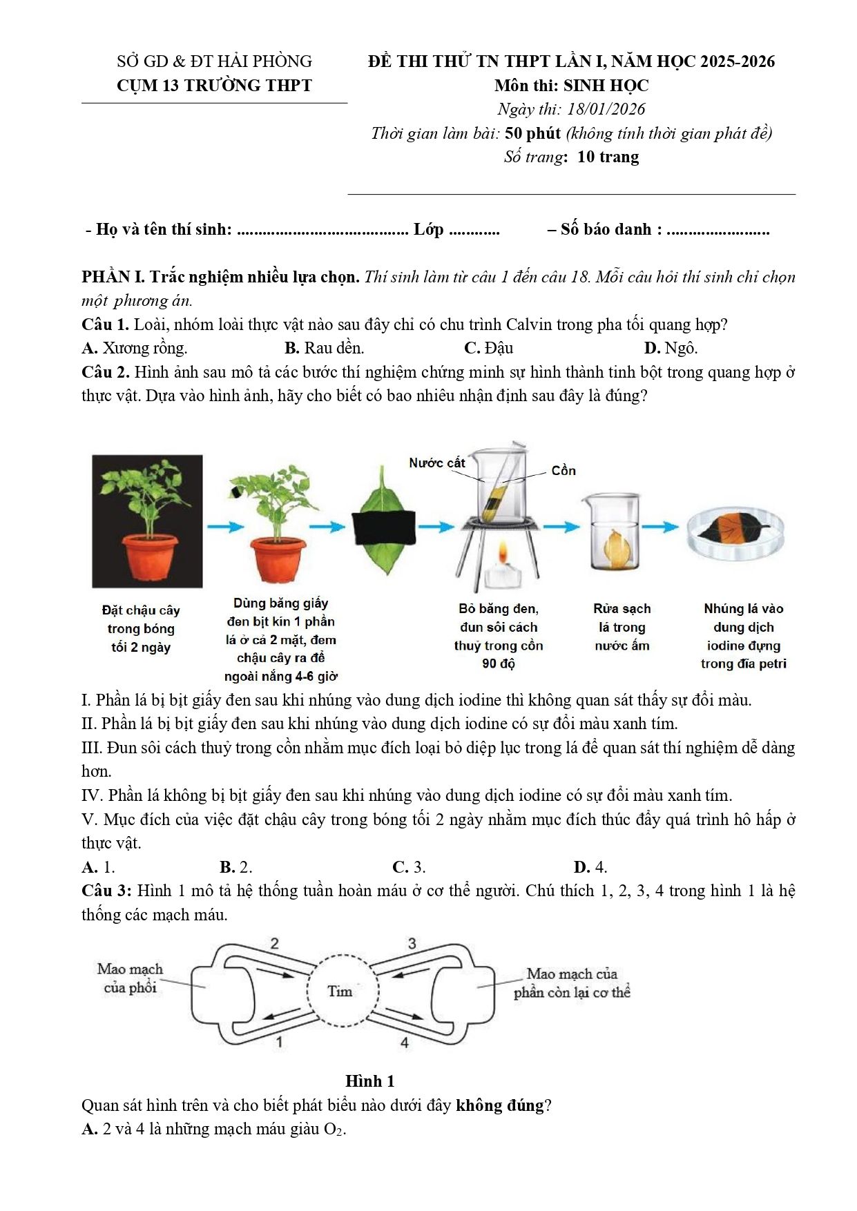 Đề thi thử Tốt nghiệp THPT Sinh học 2025 - 2026 Cụm 13 trường THPT (lần 1) (Hải Phòng)