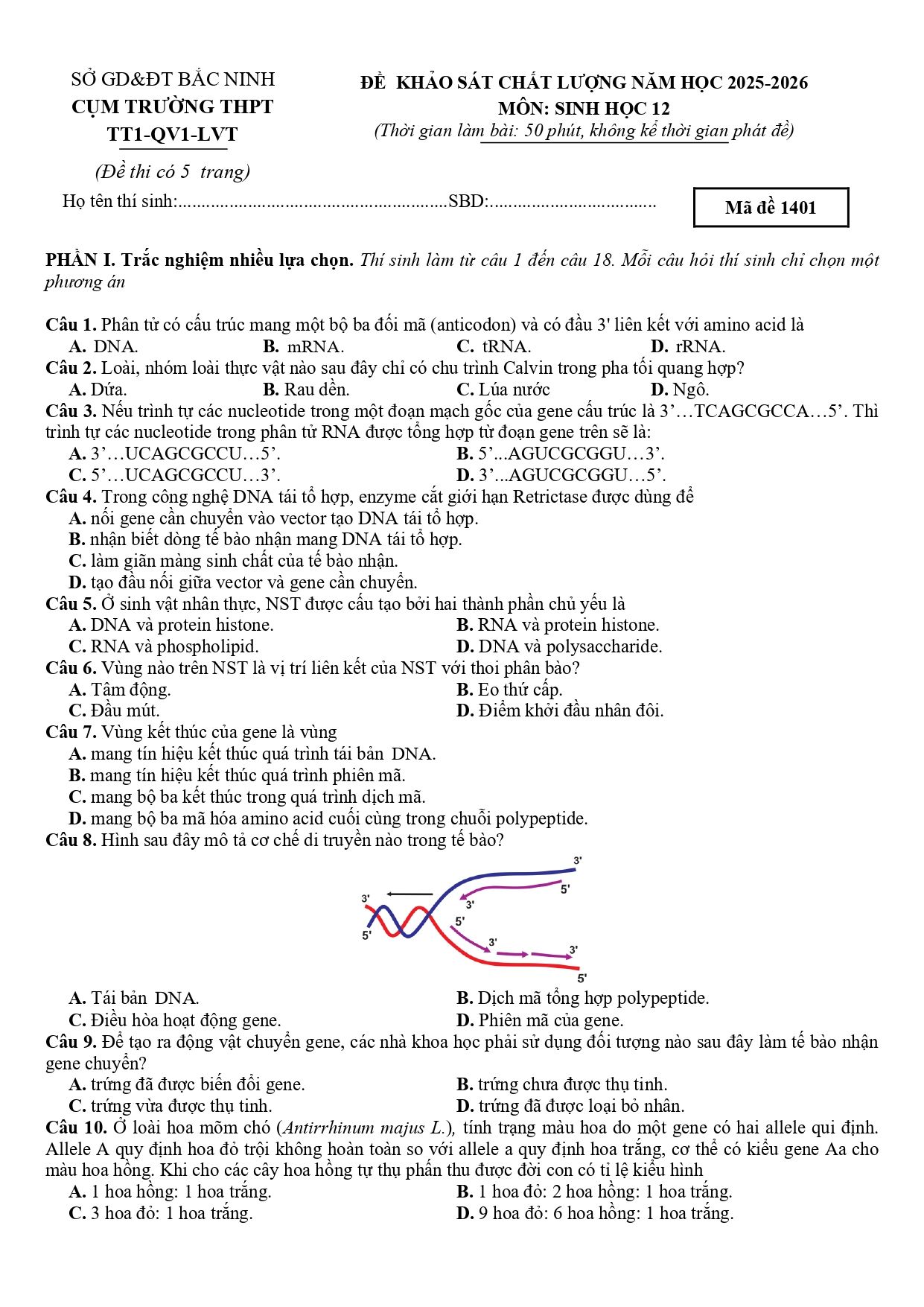 Đề thi thử Tốt nghiệp THPT Sinh học 2025 - 2026 Cụm trường THPT TT1-QV1-LVT (Bắc Ninh)