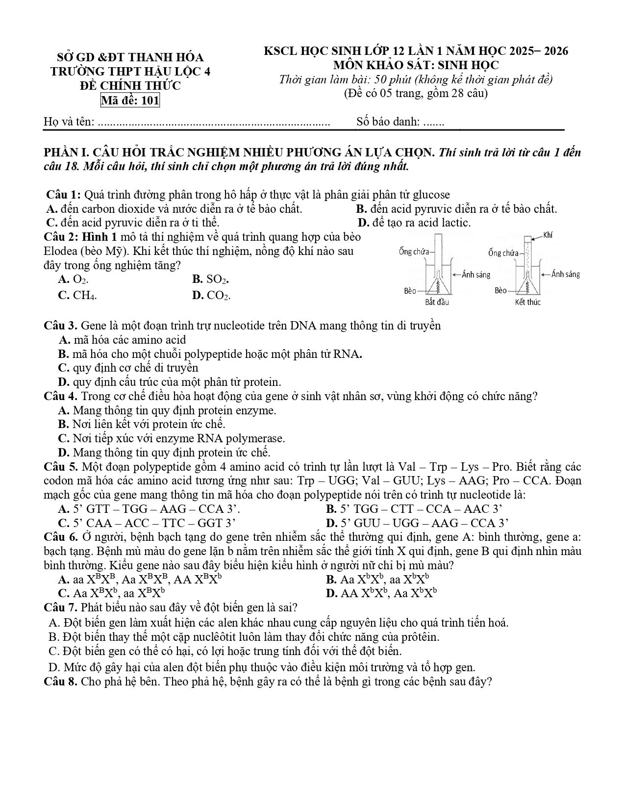Đề thi thử Tốt nghiệp THPT Sinh học 2025 - 2026 trường THPT Hậu Lộc 4 (Thanh Hóa)