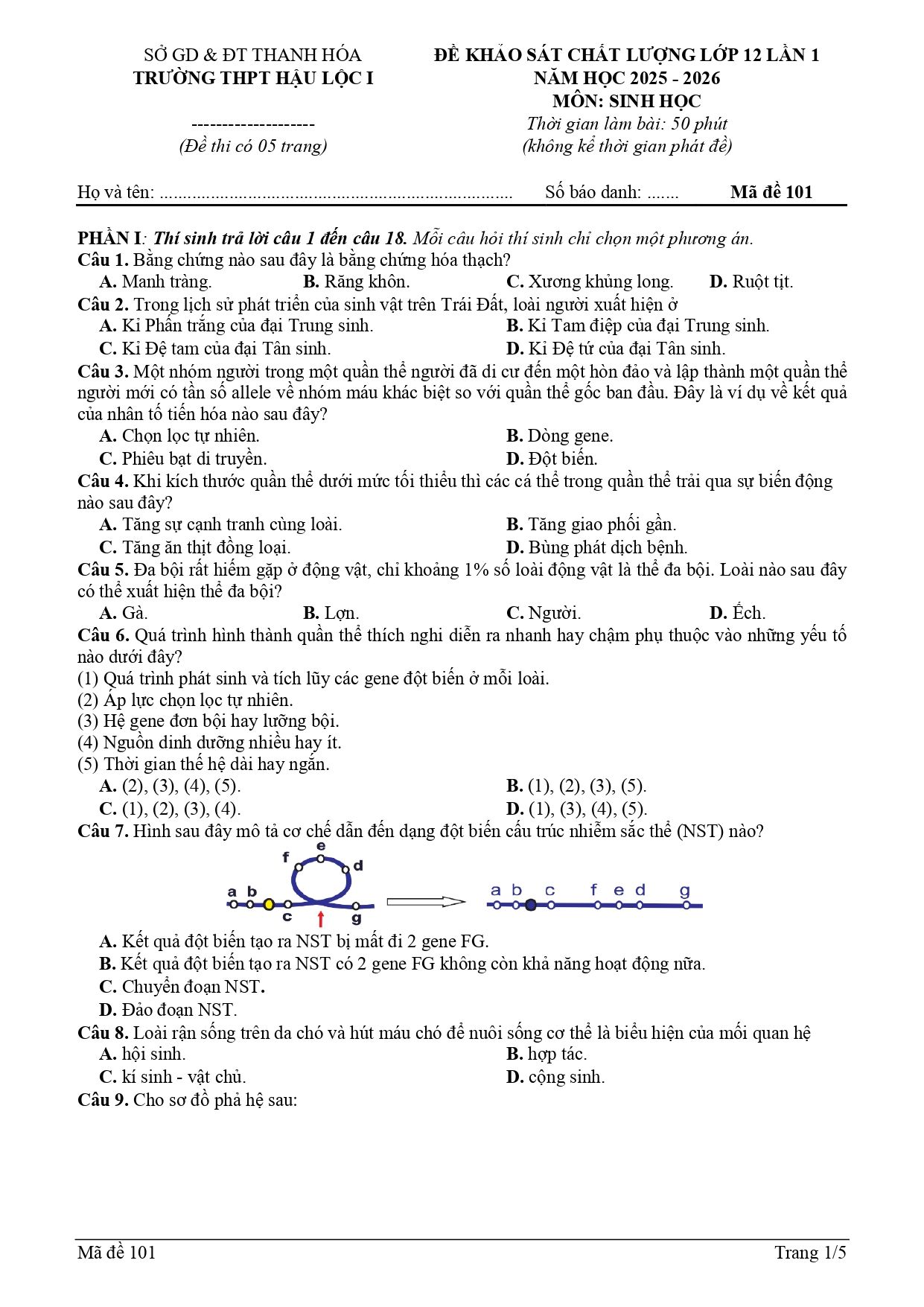 Đề thi thử Tốt nghiệp THPT Sinh học 2025 - 2026 trường THPT Hậu Lộc 1 (Thanh Hóa)