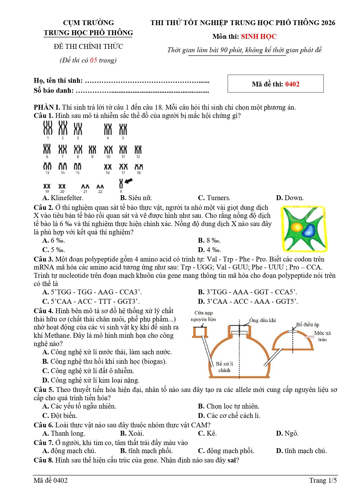 Đề thi thử Tốt nghiệp THPT Sinh học 2025 - 2026 trường THPT chuyên PBC (Nghệ An)