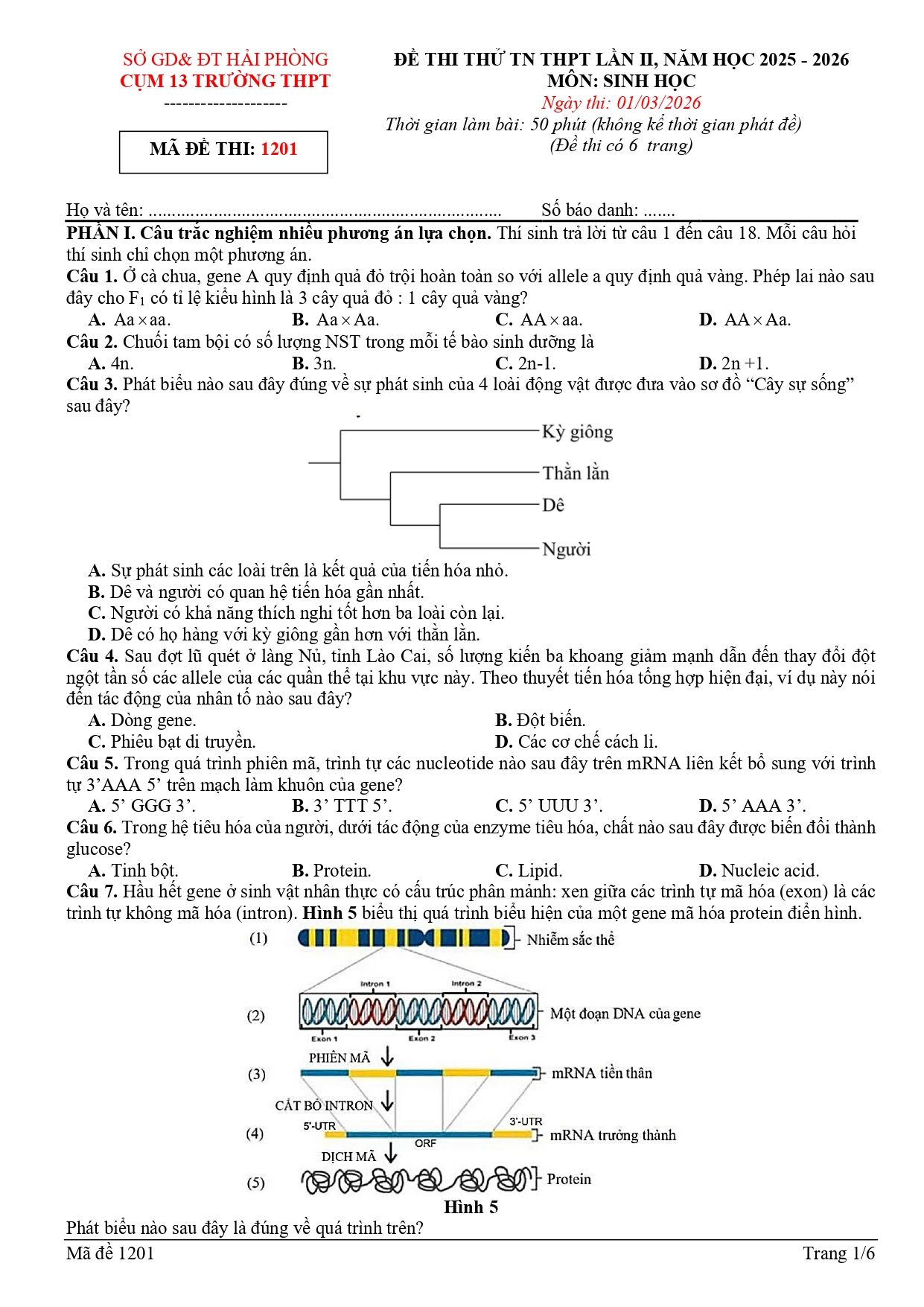 Đề thi thử Tốt nghiệp THPT Sinh học 2025 - 2026 Cụm 13 trường THPT (lần 2) (Hải Phòng)