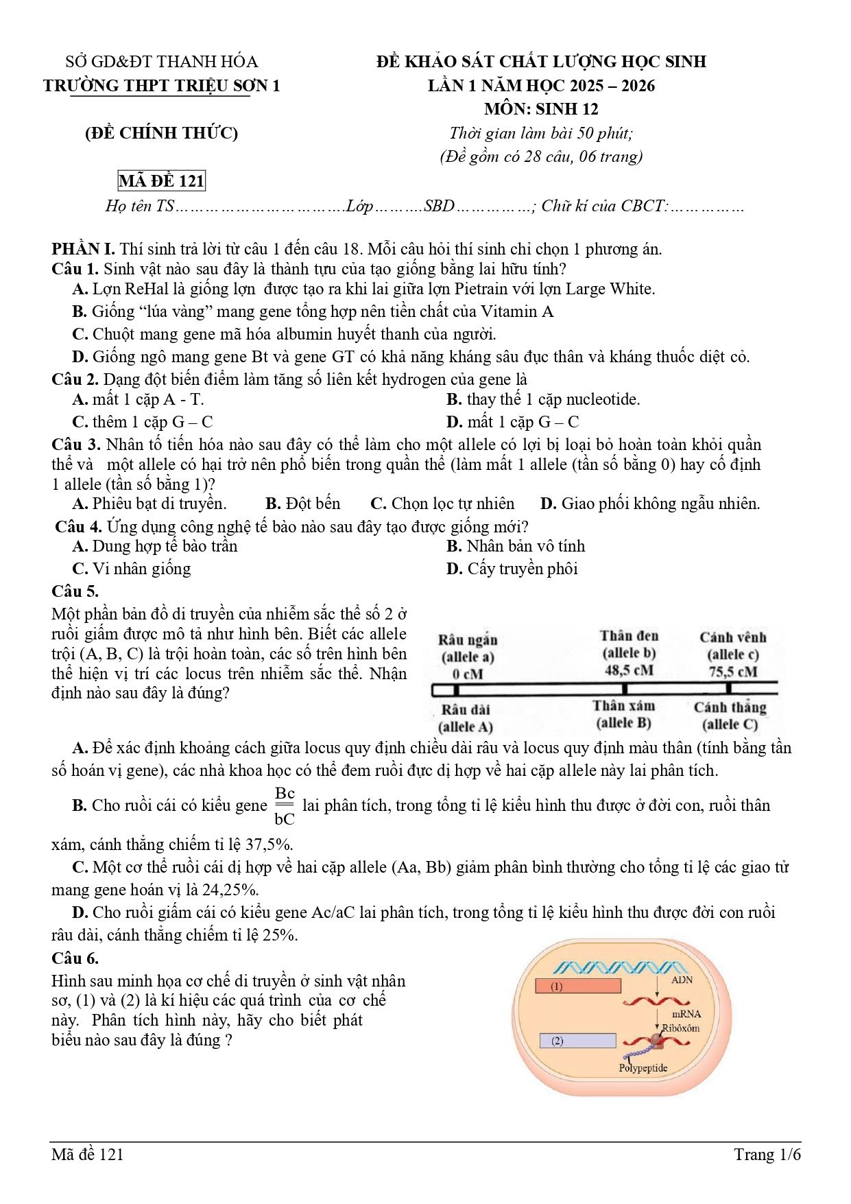 Đề thi thử Tốt nghiệp THPT Sinh học 2025 - 2026 trường THPT Triệu Sơn 1 (Thanh Hóa)