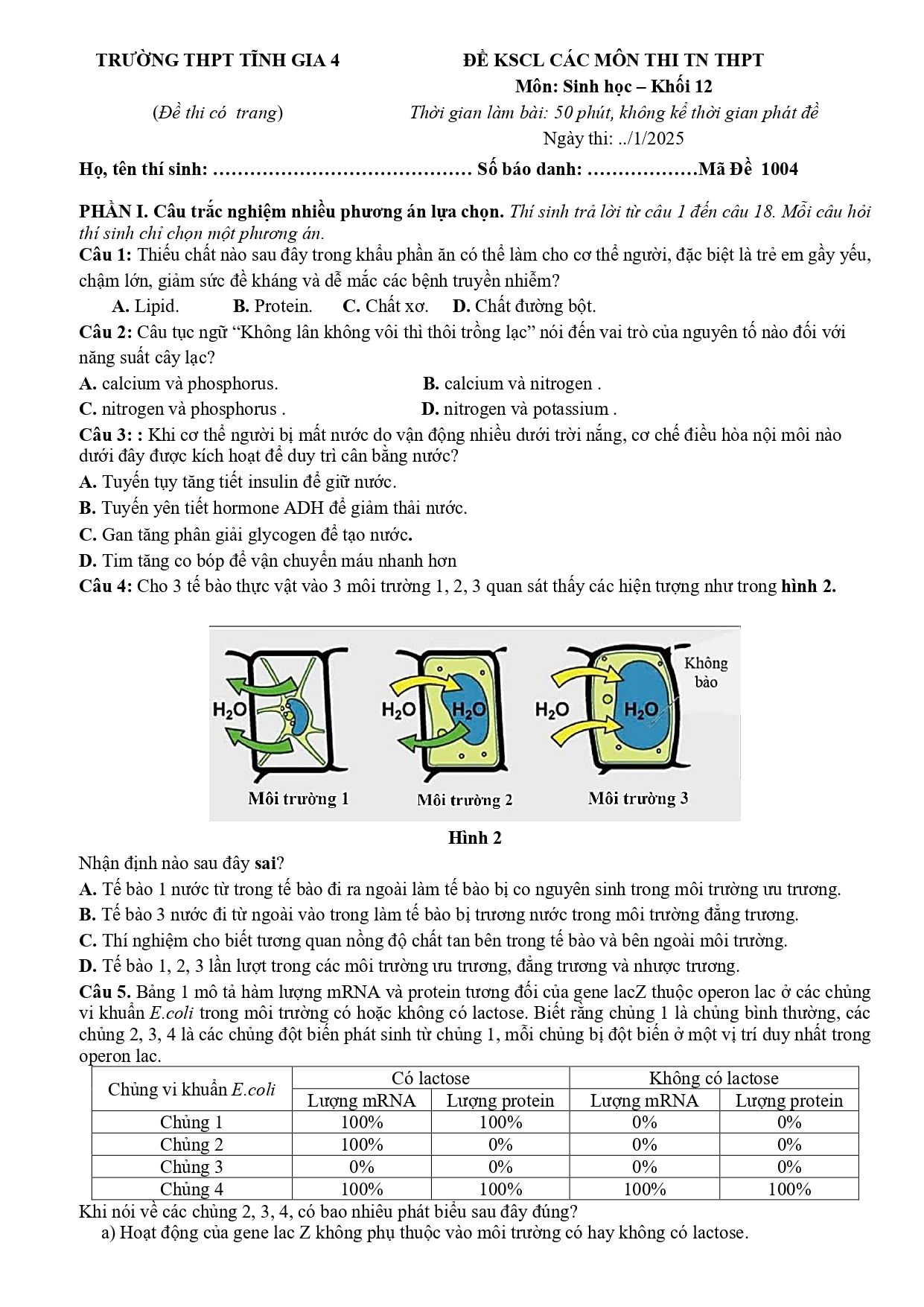 Đề thi thử Tốt nghiệp THPT Sinh học 2025 - 2026 trường THPT Tĩnh Gia 4 (Thanh Hóa)