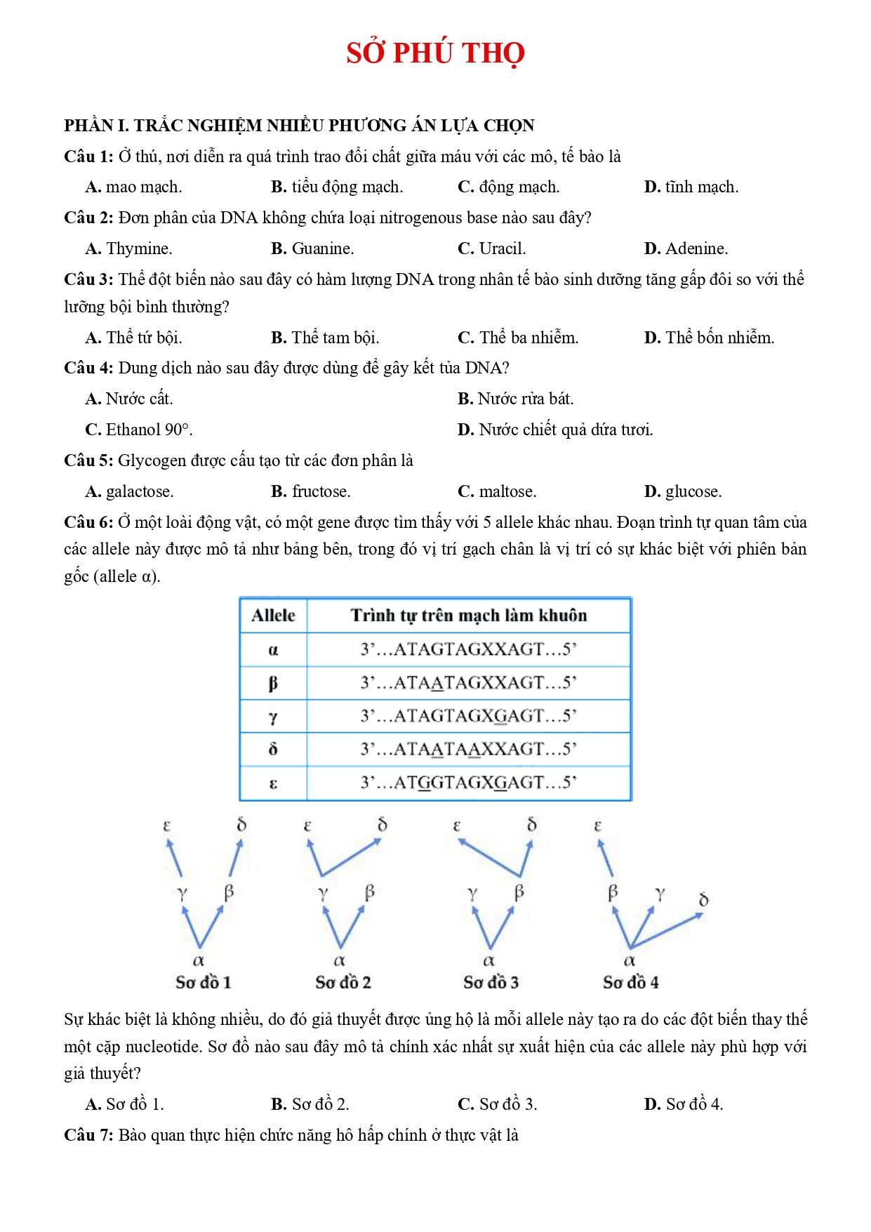 Đề thi thử Tốt nghiệp THPT Sinh học 2025 - 2026 Sở GD&ĐT Phú Thọ