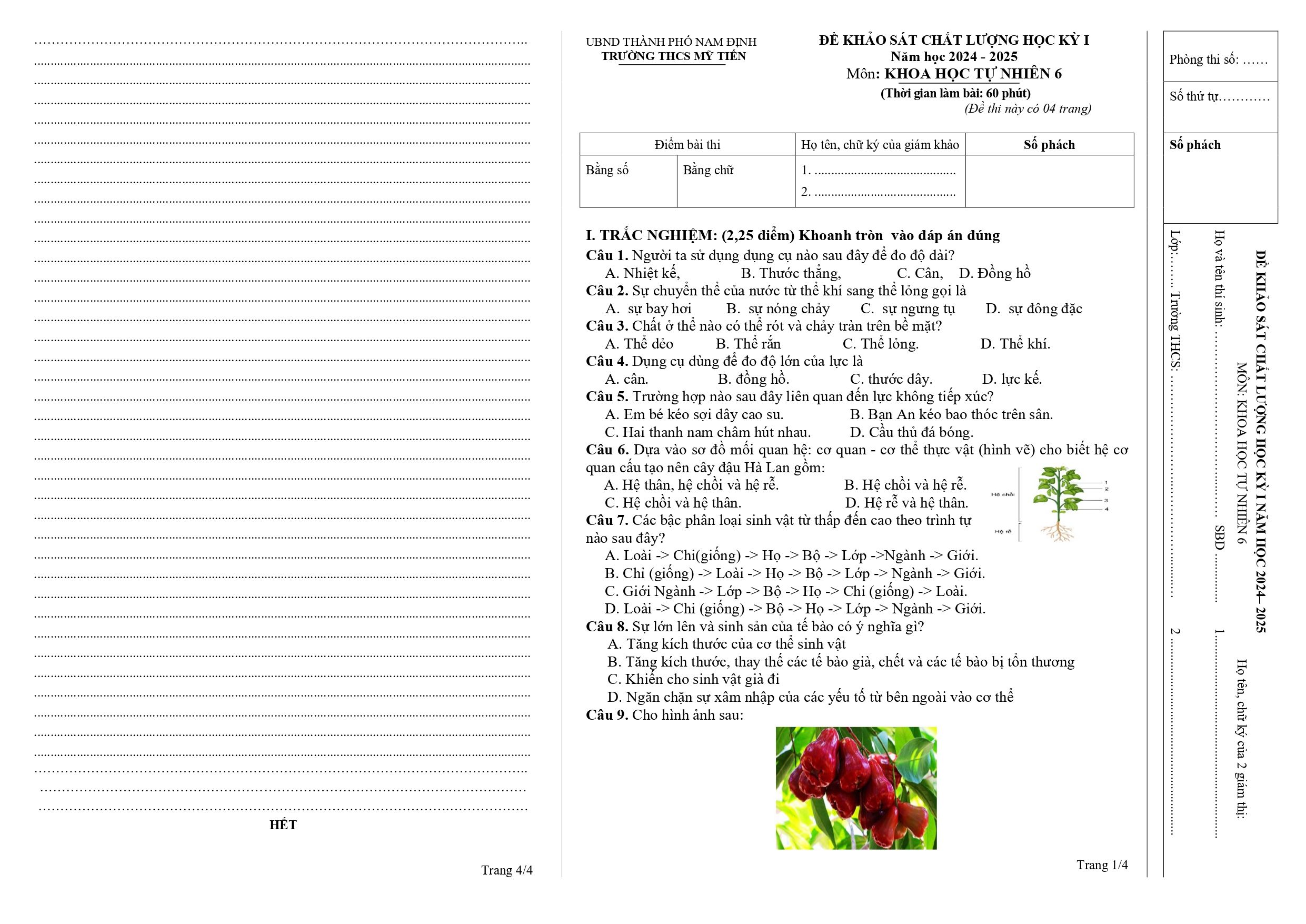 Đề thi Học kì 1 KHTN 6 năm 2024 - 2025 trường THCS Mỹ Tiến (Nam Định)