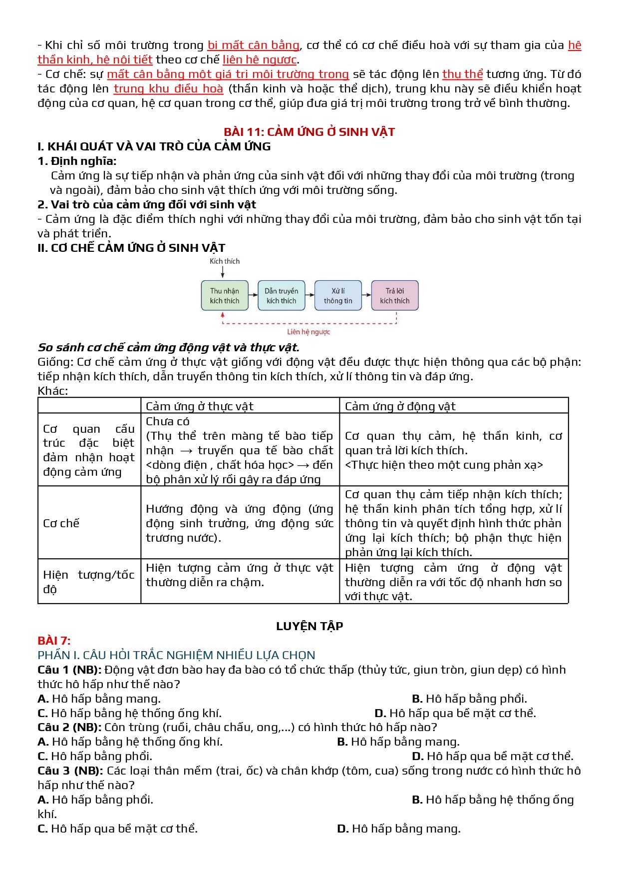 Đề cương ôn tập Học kì 1 Sinh học 11 năm 2025–2026 trường THPT Đức Trọng (Lâm Đồng)