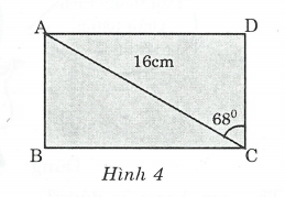 Ảnh đính kèm