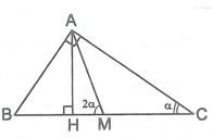 Ảnh đính kèm