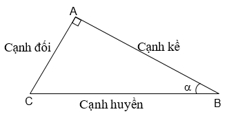 Ảnh đính kèm