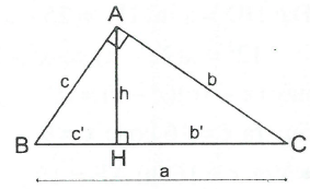 Ảnh đính kèm