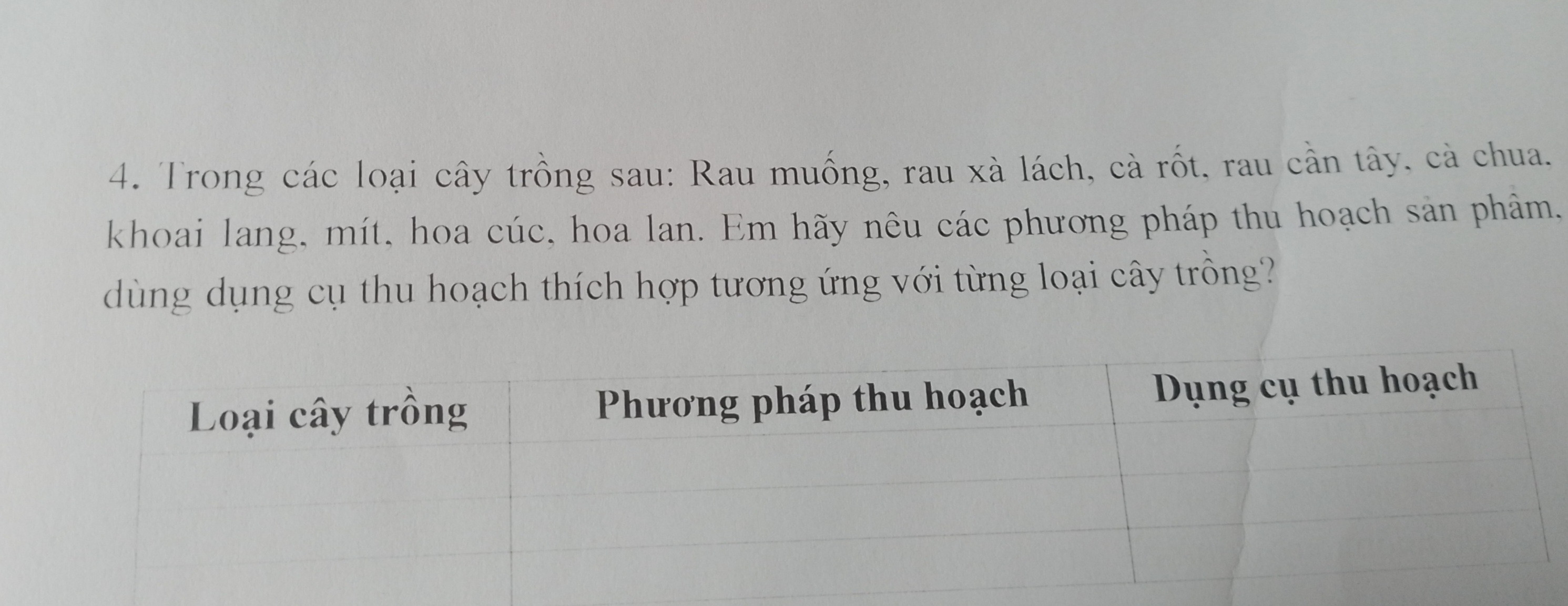 Ảnh đính kèm