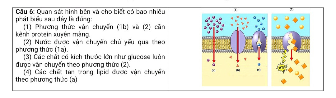 Ảnh đính kèm