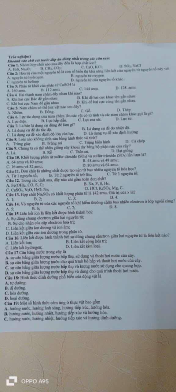 Ảnh đính kèm