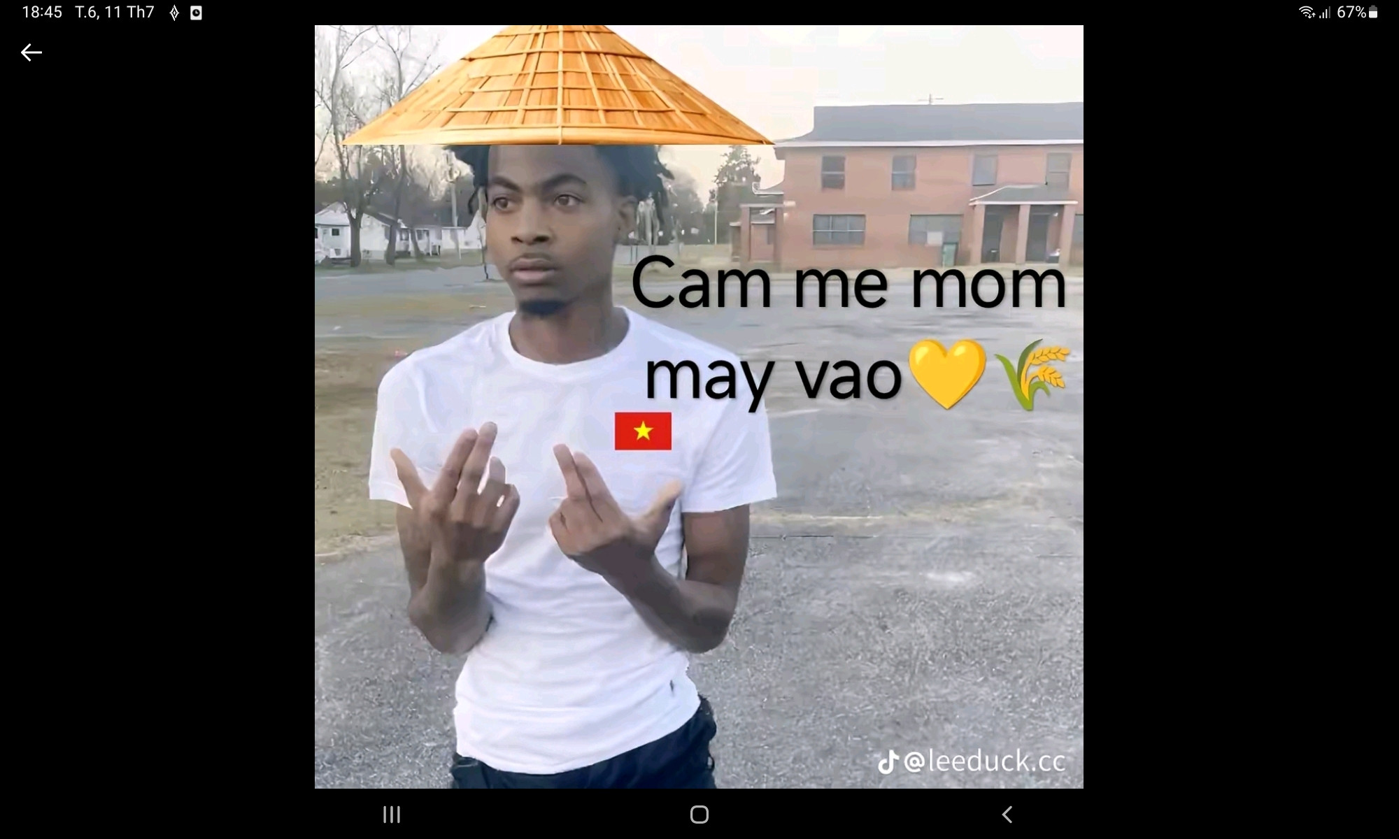 Ảnh đính kèm