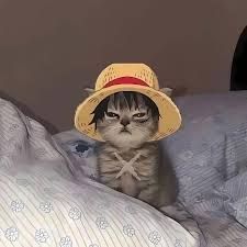 Ảnh đính kèm