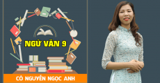 Ngữ Văn lớp 9 - Cô Nguyễn Ngọc Anh