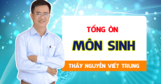 Khóa TỔNG ÔN môn Sinh - Thầy Nguyễn Viết Trung