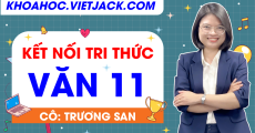 Ôn luyện Ngữ văn lớp 11 - CHƯƠNG TRÌNH MỚI - Cô Trương San